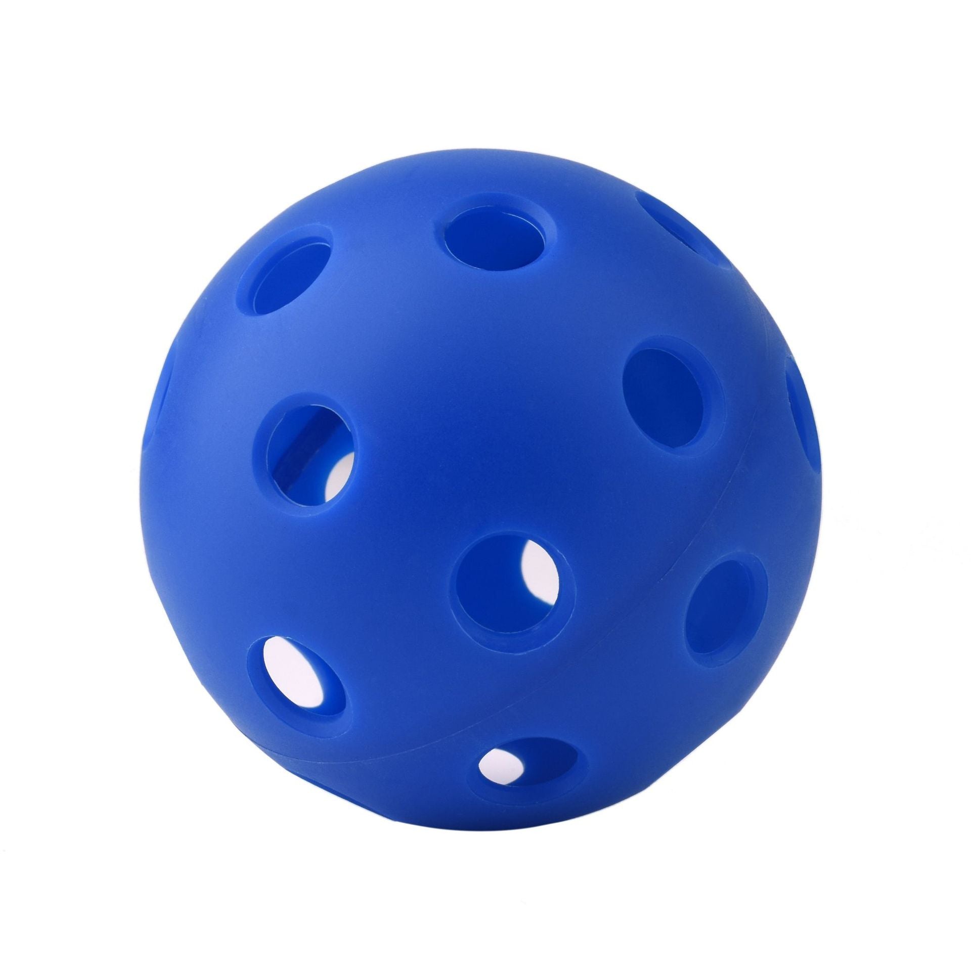 Outdoor Pickleball Set with 40 & 26 Hole Balls Abundance Forge