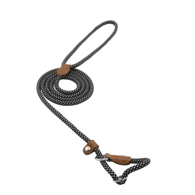 Nylon Pup Set Abundance Forge