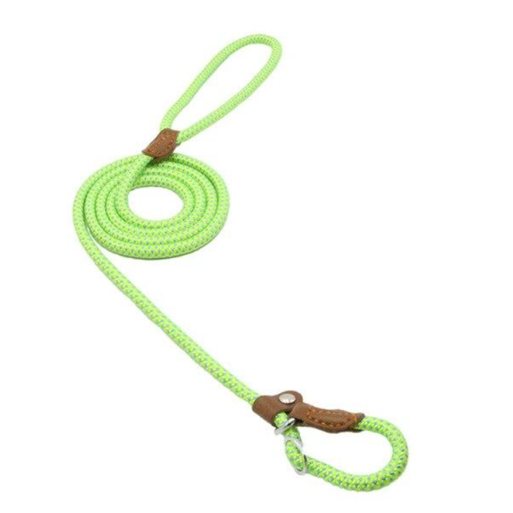 Nylon Pup Set Abundance Forge