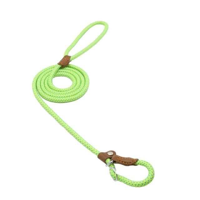 Nylon Pup Set Abundance Forge