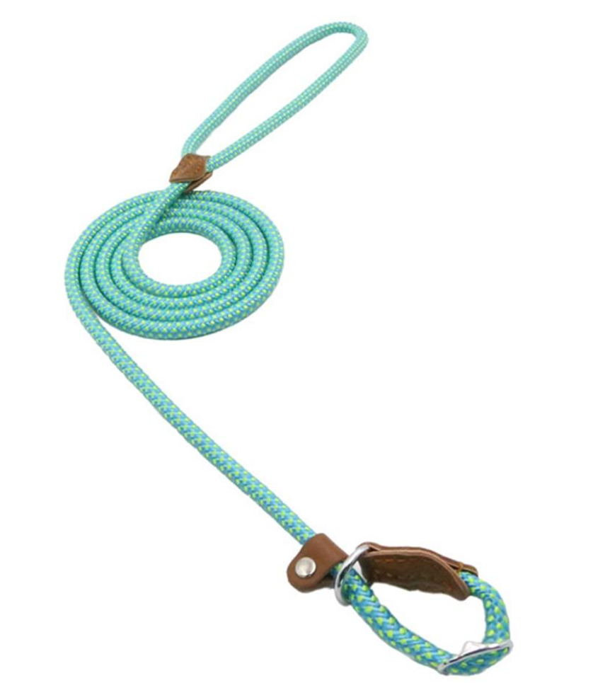 Nylon Pup Set Abundance Forge