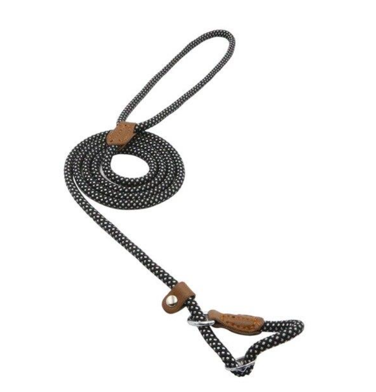 Nylon Pup Set Abundance Forge