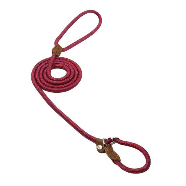 Nylon Pup Set Abundance Forge