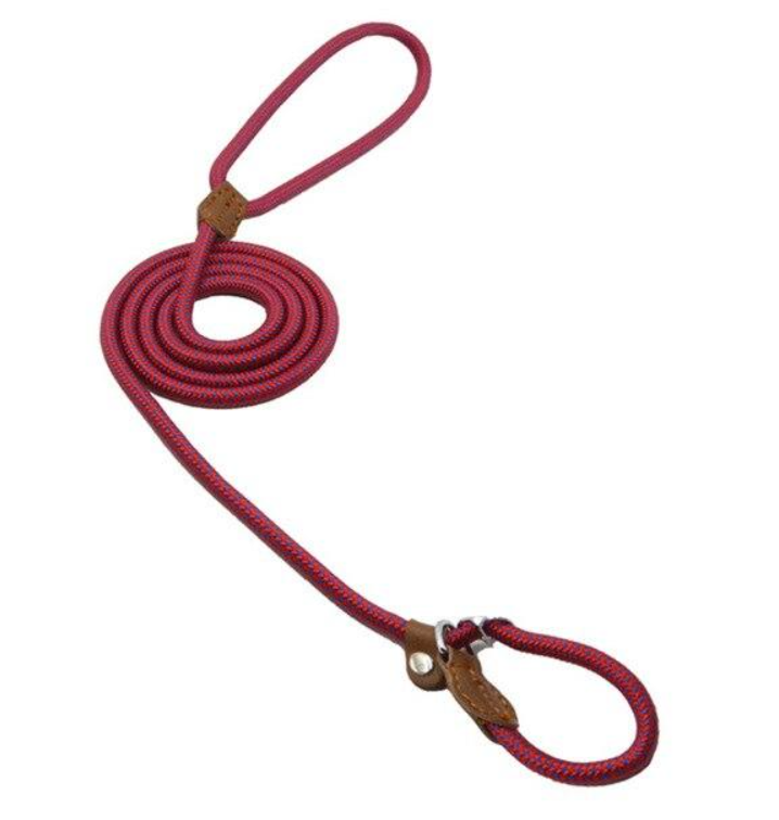 Nylon Pup Set Abundance Forge
