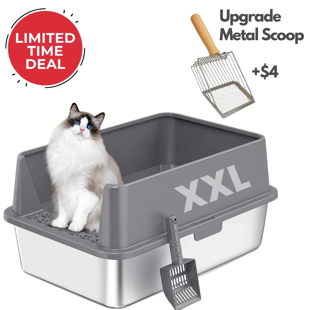 XXL 304 Stainless Steel Cat Litter Box 4FurBaby