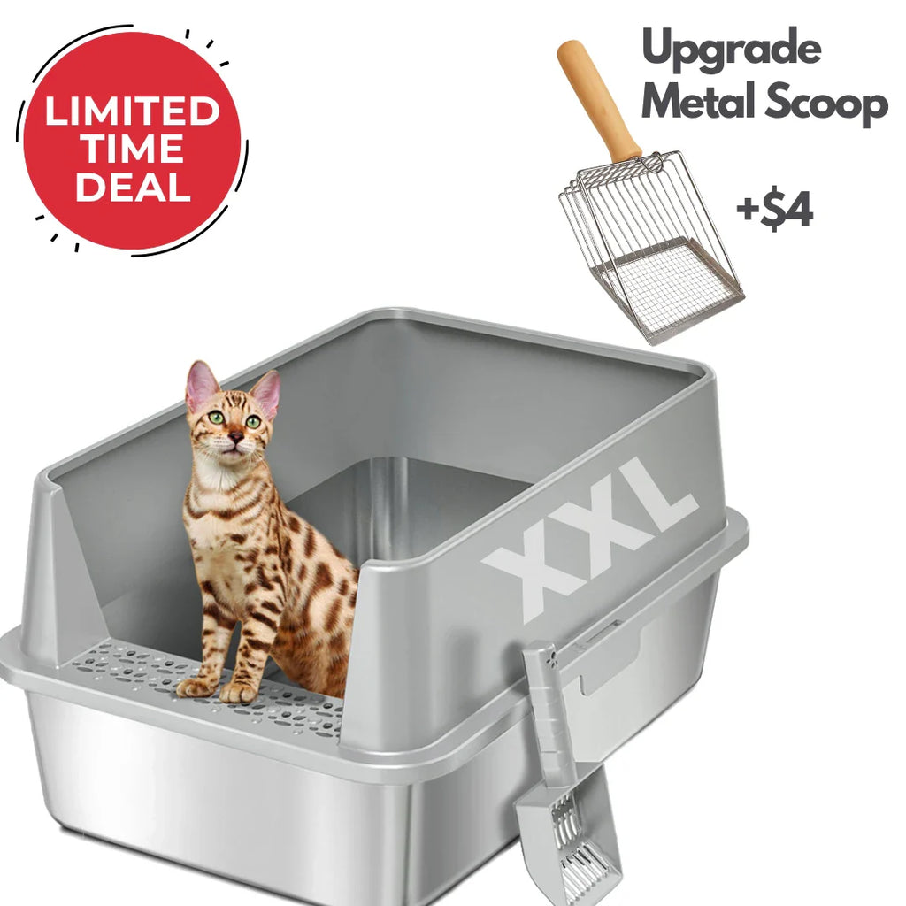 XXL 304 Stainless Steel Cat Litter Box 4FurBaby