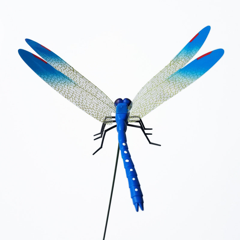 Dragonfly Wall Sticker for Home and Garden Decoration Abundance Forge