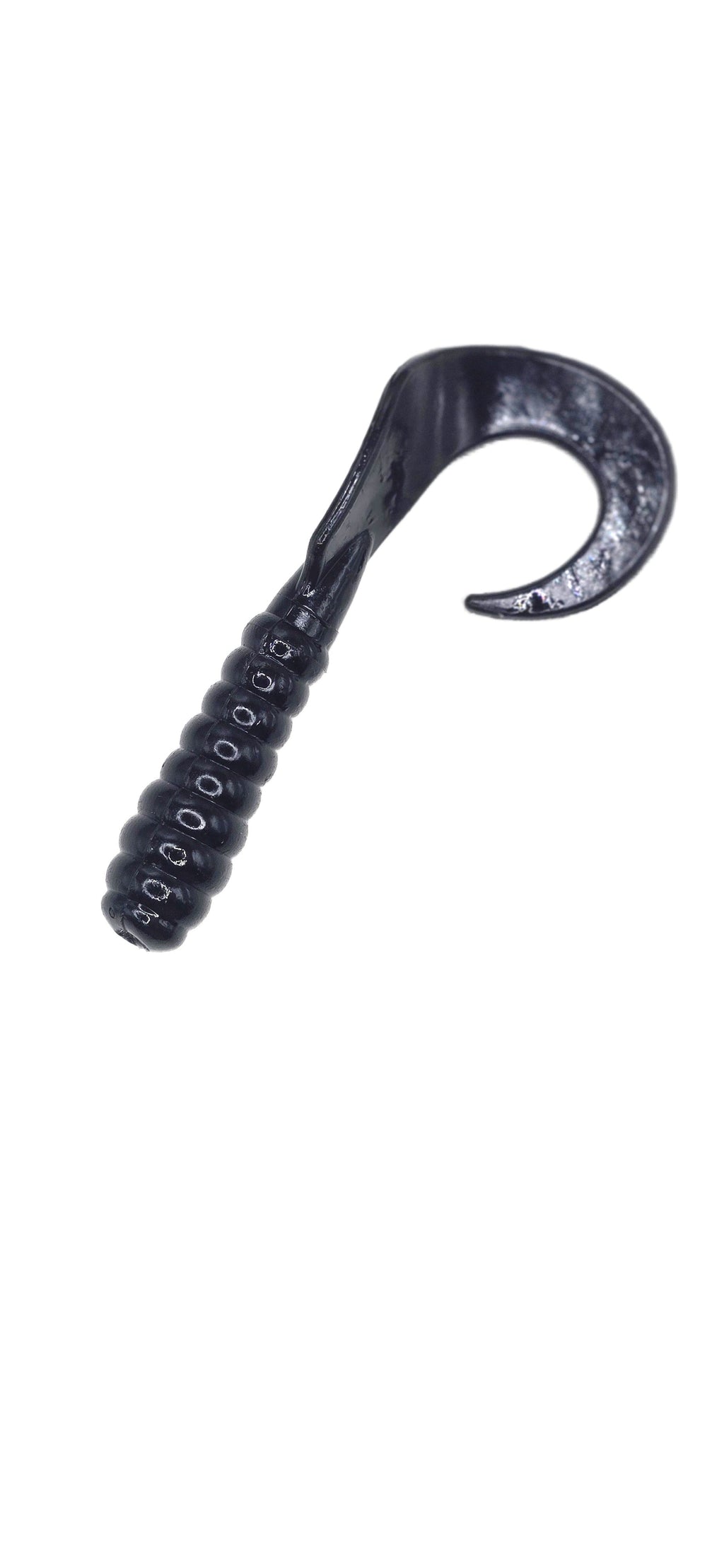 Single Tail Grub