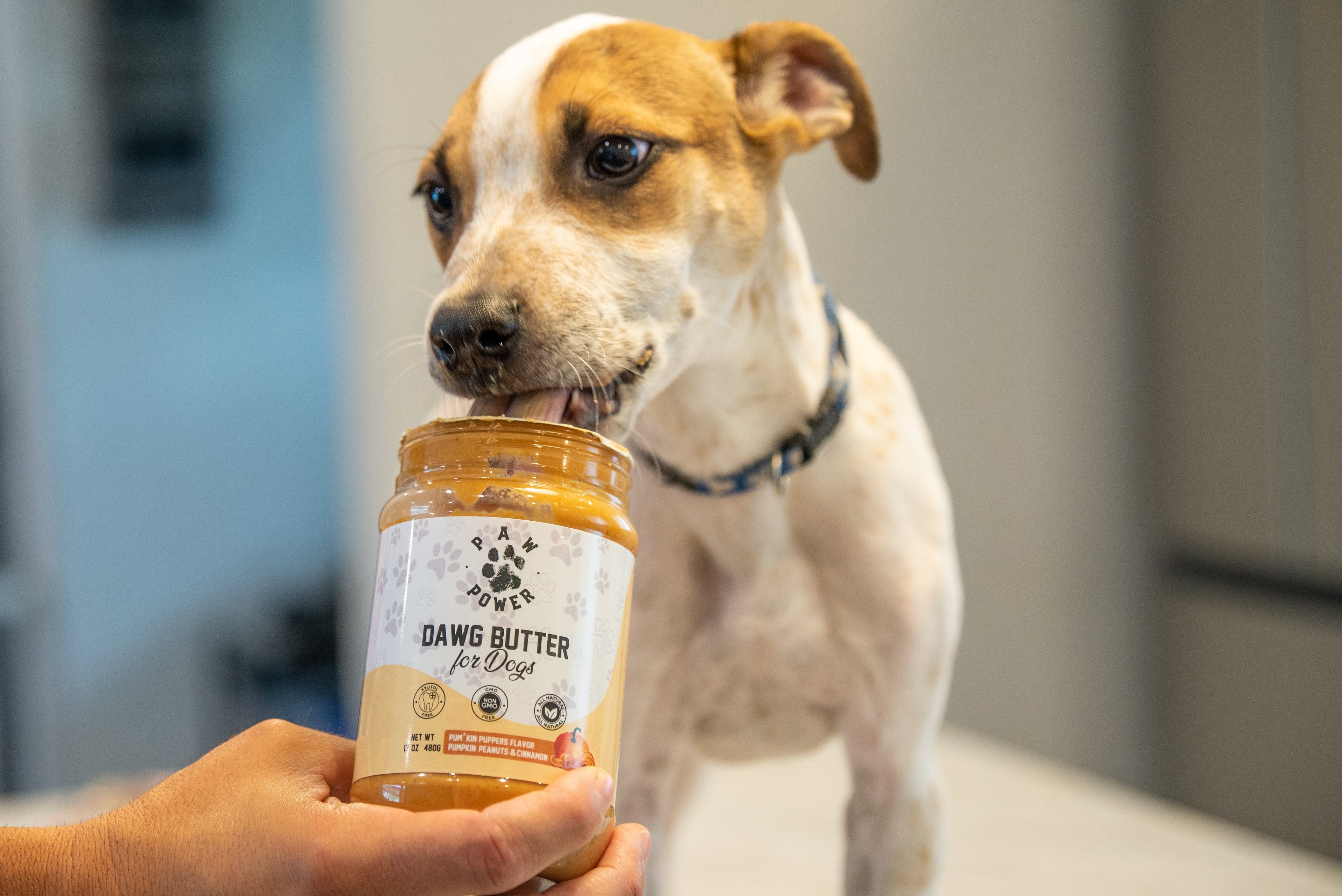 Dawg Butter Pum'kin Puppers Flavor Paw Power Nutrition