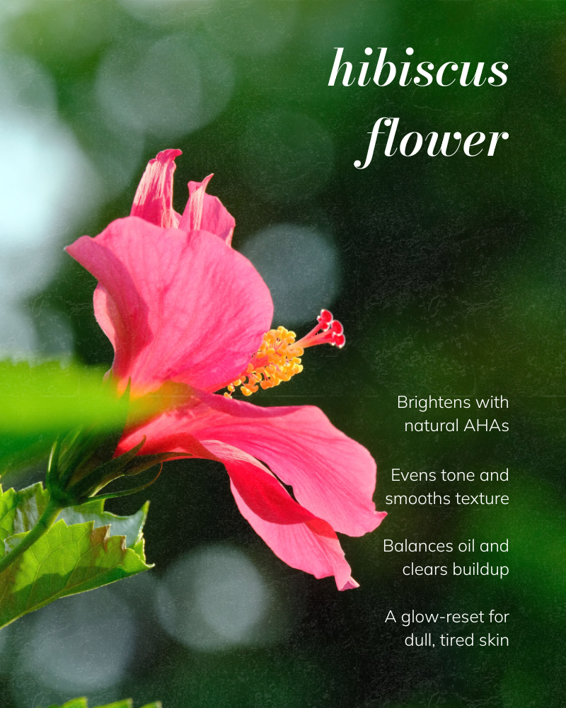 Hibiscus Powder - Gentle Exfoliating Cleanser