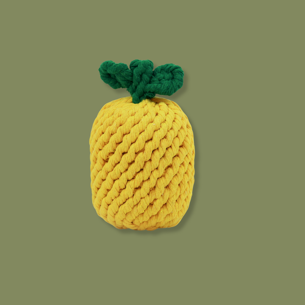 Monli Large Pineapple Rope Toy