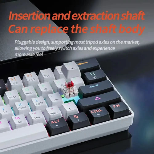 61 Keys USB Gaming Mechanical Keyboard Red Switch RGB - Abundance Forge