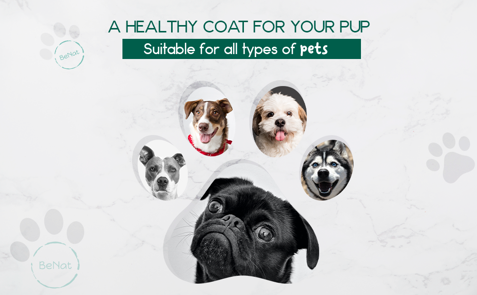 BeNat Pets. All-Natural Pet Shampoo Bar. Oat. 5.8 oz. BeNat