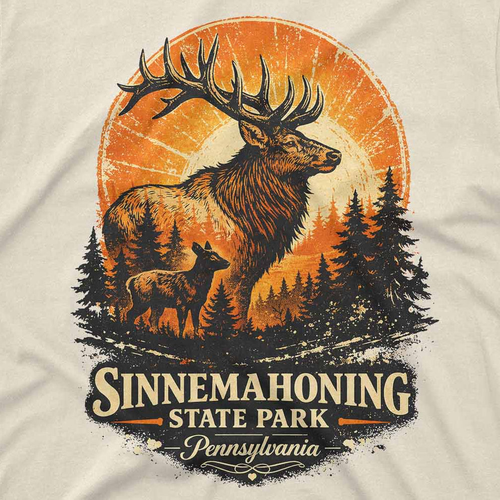 Sinnemahoning State Park Men's T Shirt