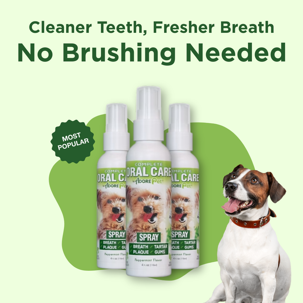Oral Care Spray Adore Pet