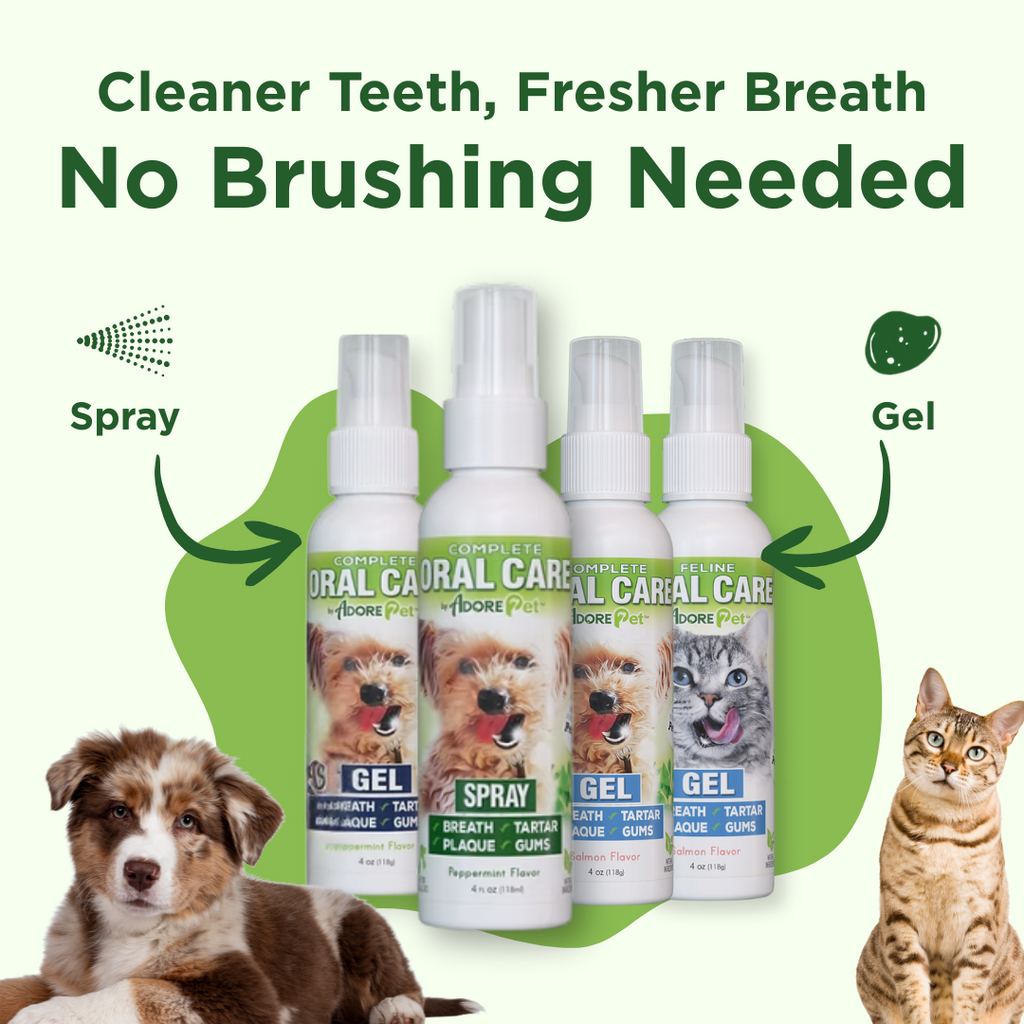 Oral Care Spray Adore Pet