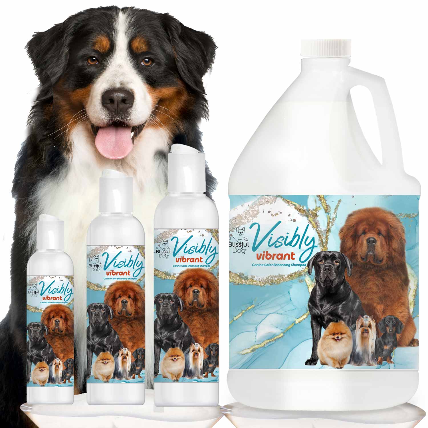Visibly Vibrant Pet Shampoo The Blissful Dog