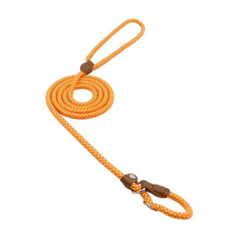 Nylon Pup Set Abundance Forge