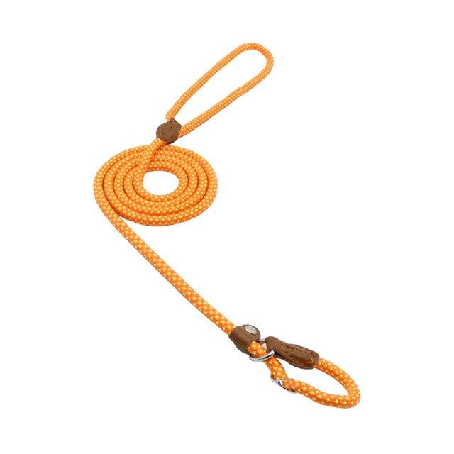 Nylon Pup Set Abundance Forge