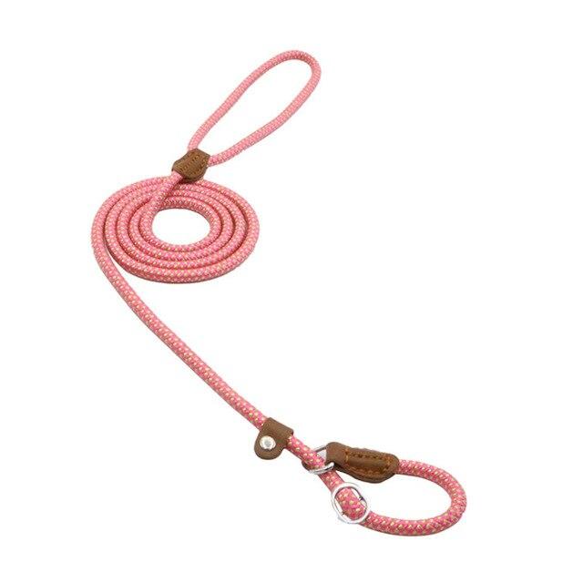Nylon Pup Set Abundance Forge