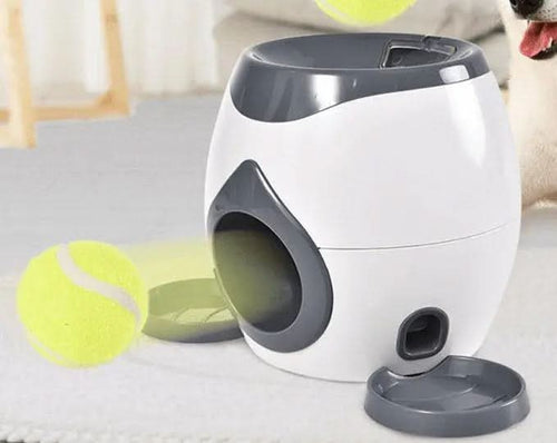 Automatic Pet Training And Feeding System - Abundance Forge