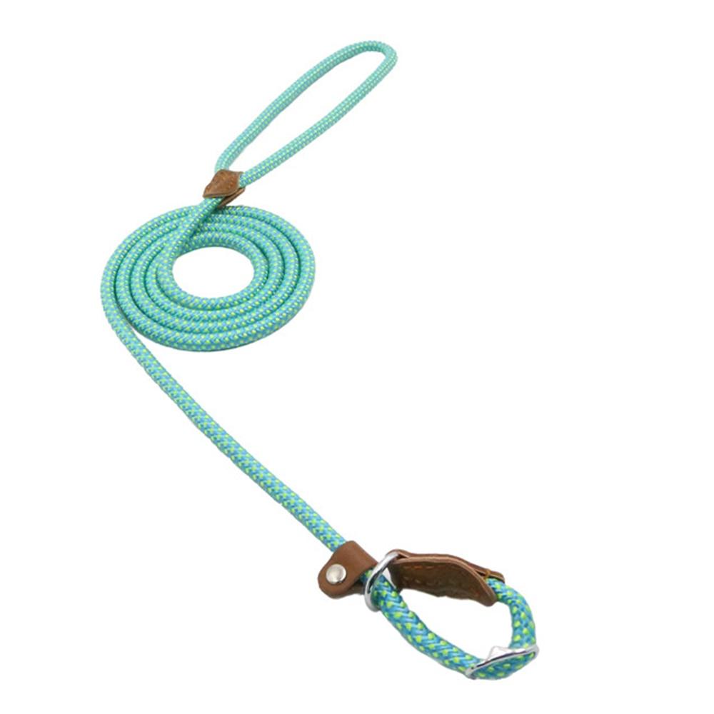 Nylon Pup Set Abundance Forge