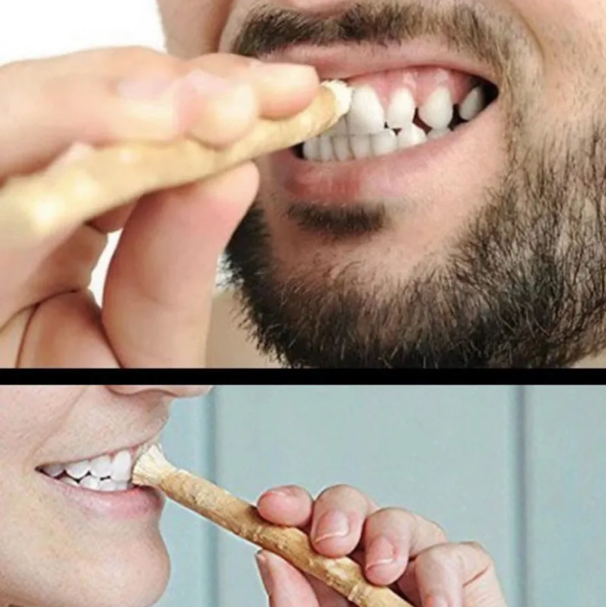 Miswak Tooth Cleaning Stick Abundance Forge