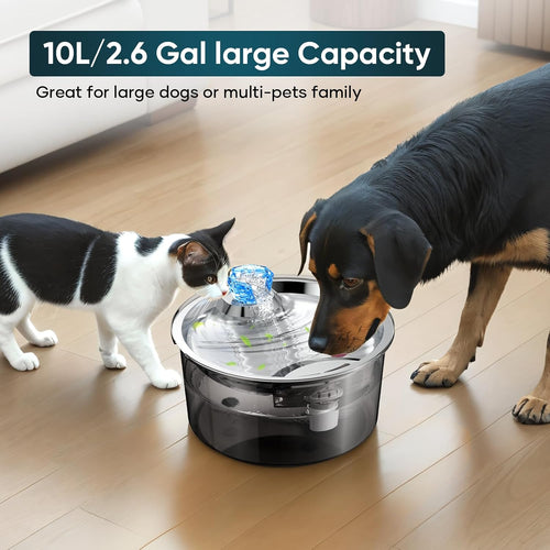 2.6Gal/10L Dog Water Fountain for Dogs & Cats & Multiple Pets - Abundance Forge